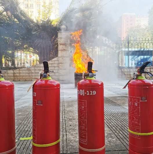 image11.jpeg image11.jpeg