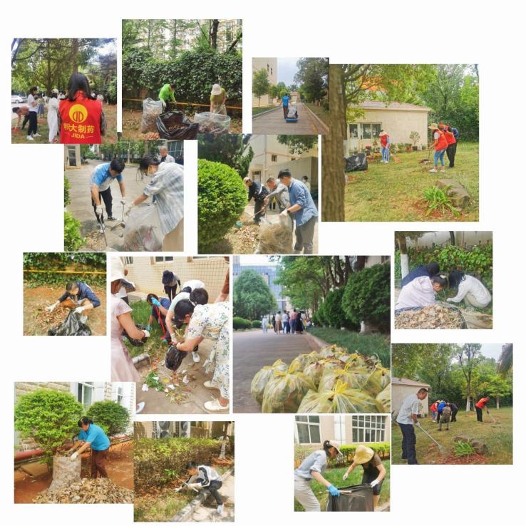 image11.jpg image11.jpg