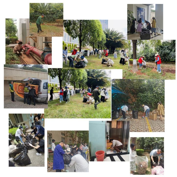 image12.jpg image12.jpg