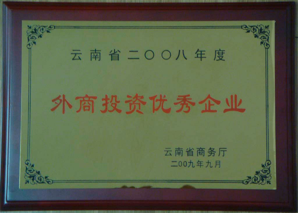 優(yōu)秀外商投資企業(yè)