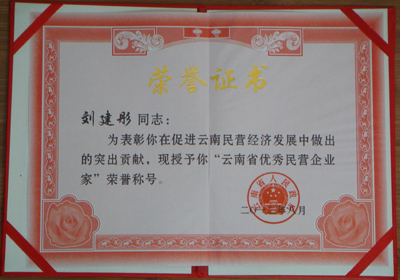 優(yōu)秀民營業(yè)企業(yè)家