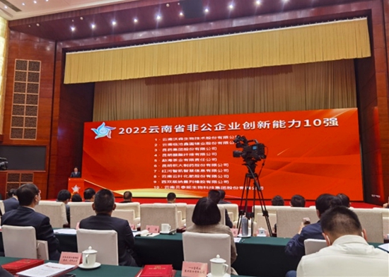 “云南非公企業(yè)百強”和“云南非公企業(yè)創(chuàng)新能力十強”